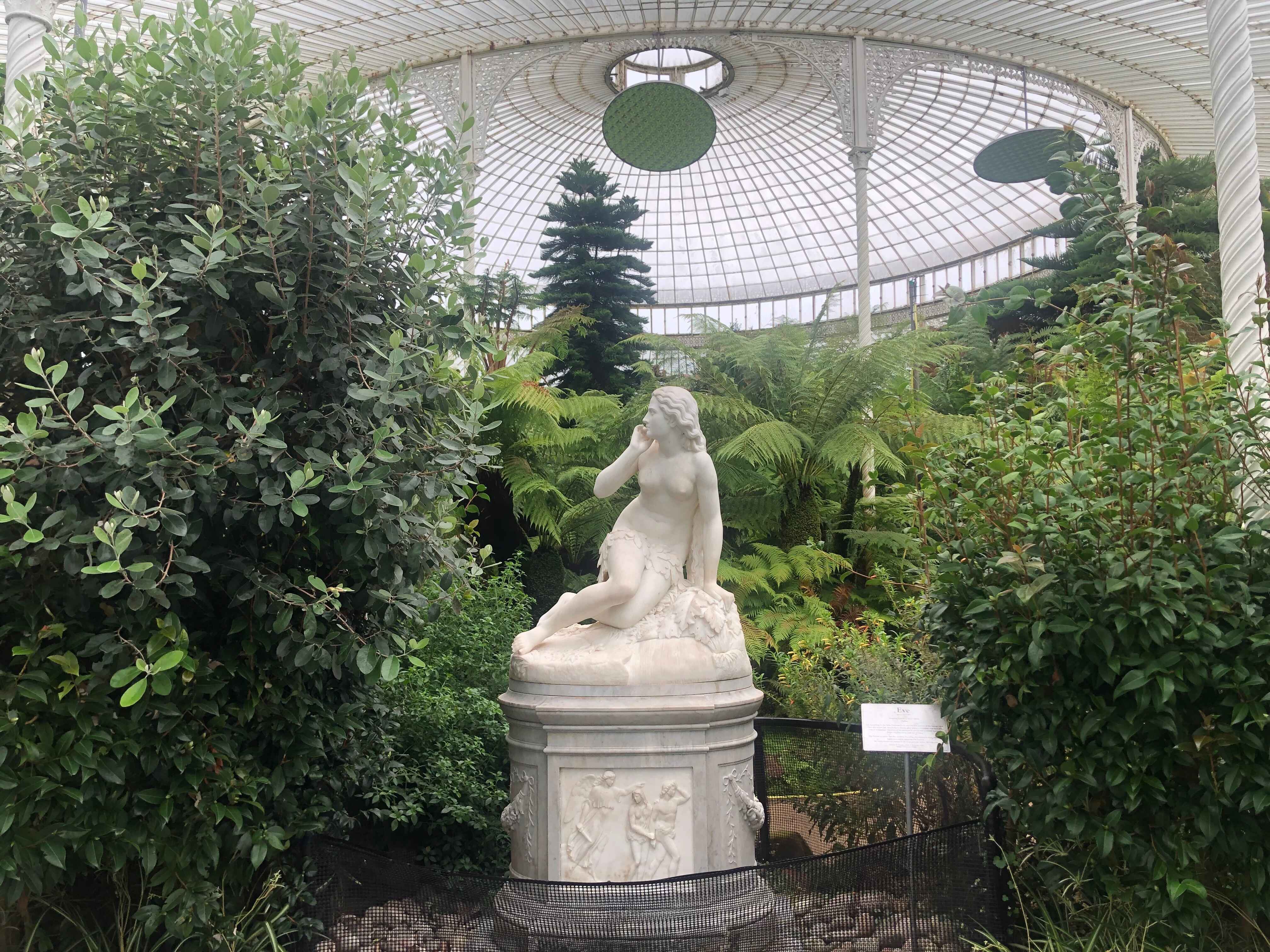 Featured image for Glasgow Botanical Garden